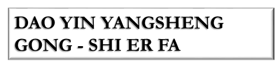 Daoyinyang0