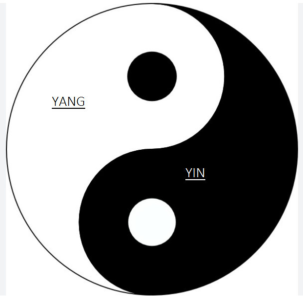 Yangyin2